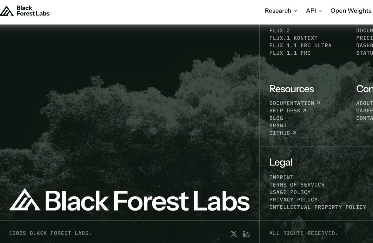 Black Forest Labs (FLUX) screenshot 1