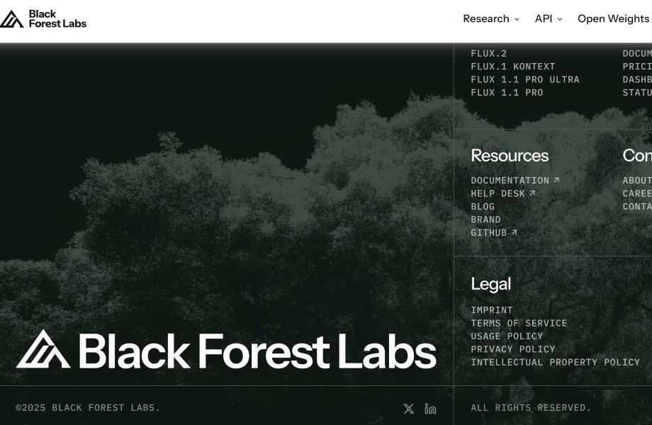 Black Forest Labs (FLUX)