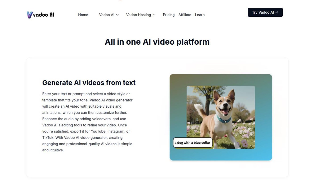 Vadoo AI screenshot 2
