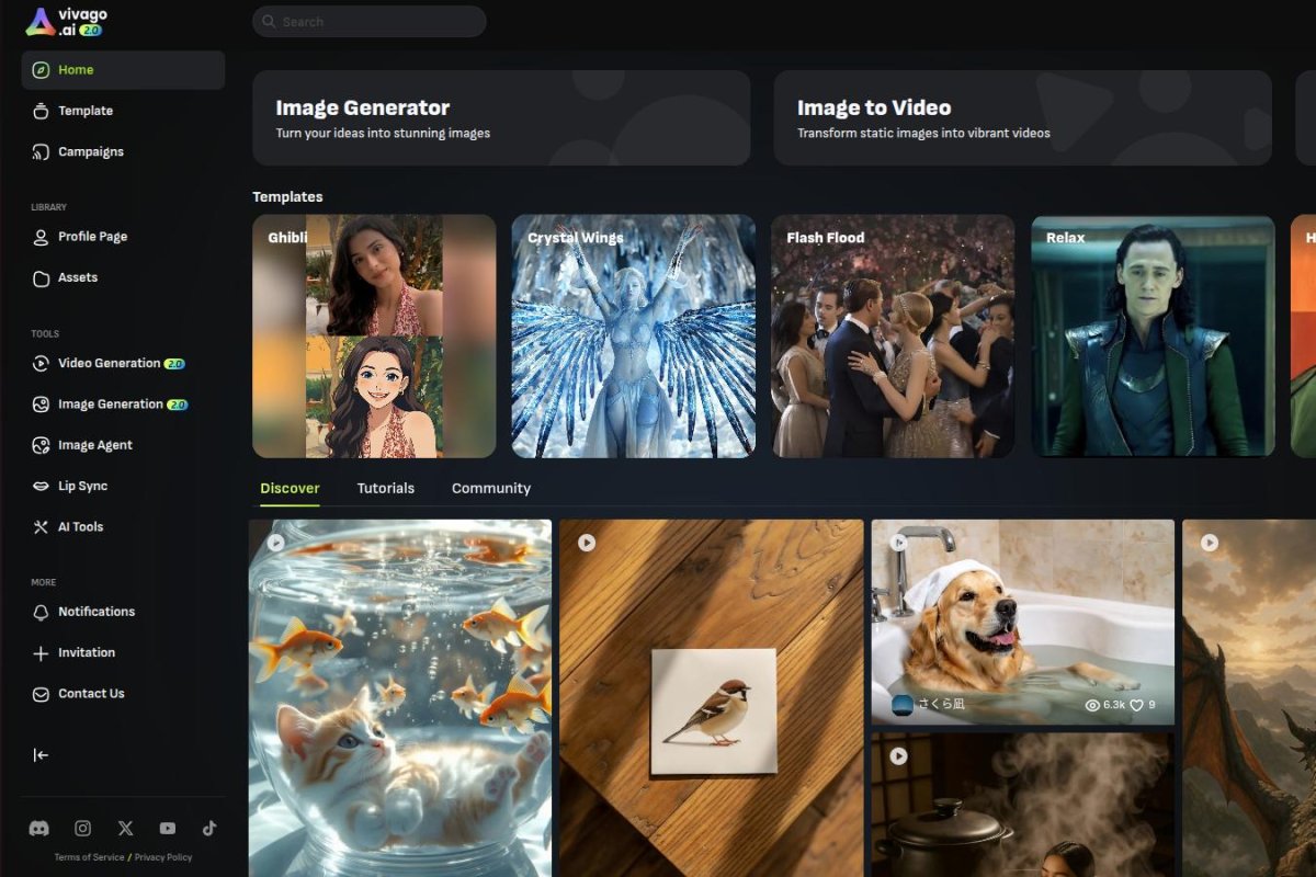 Vivago.ai screenshot 2